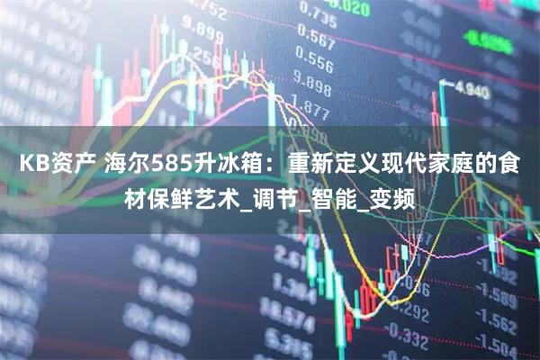KB资产 海尔585升冰箱：重新定义现代家庭的食材保鲜艺术_调节_智能_变频