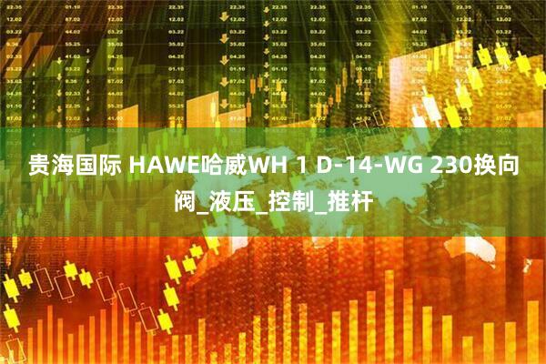 贵海国际 HAWE哈威WH 1 D-14-WG 230换向阀_液压_控制_推杆