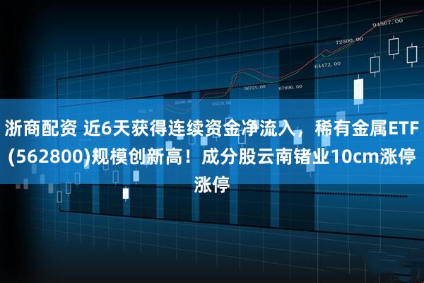 浙商配资 近6天获得连续资金净流入，稀有金属ETF(562800)规模创新高！成分股云南锗业10cm涨停